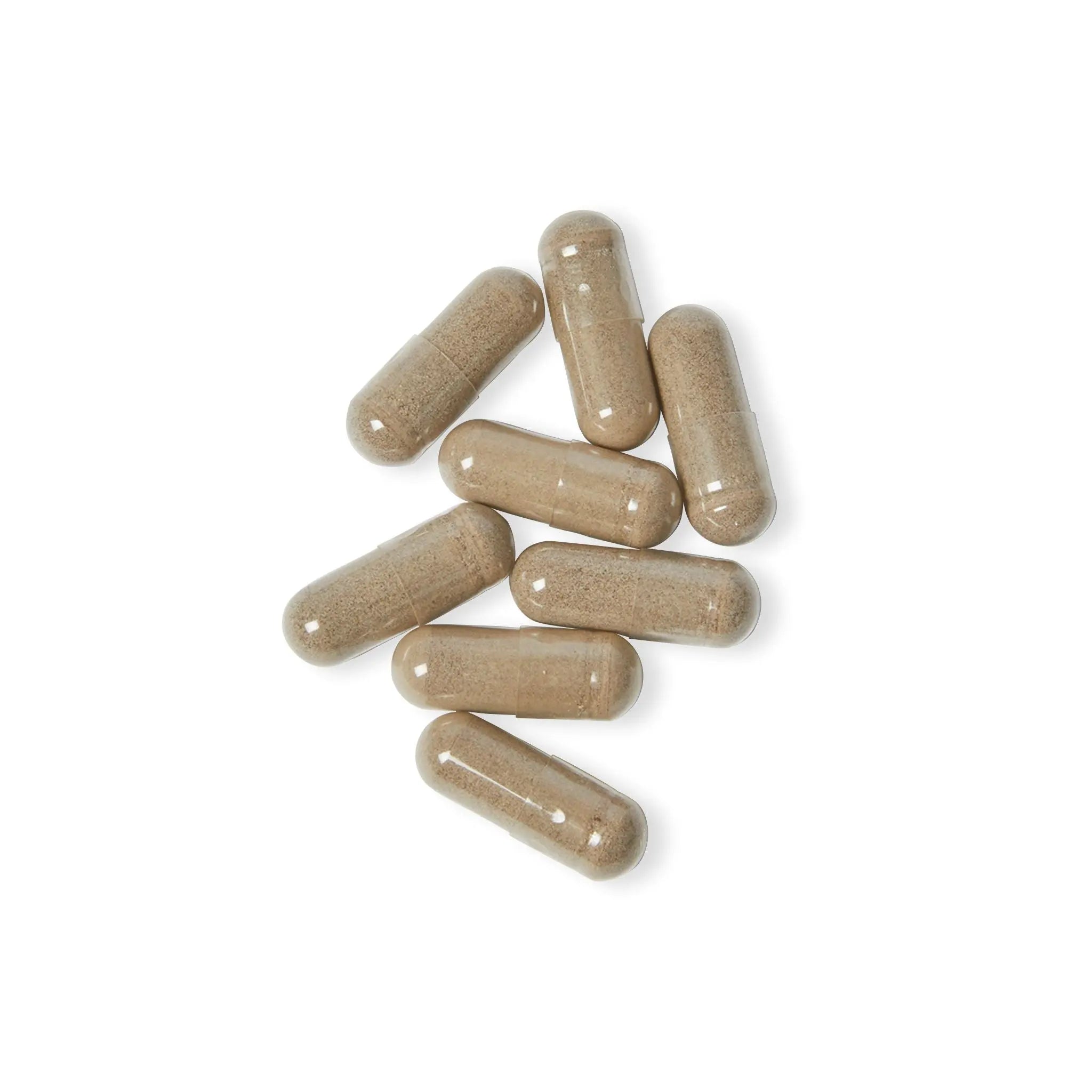 By the Sea Supplements - Ysilene